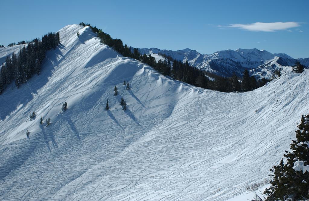 Raintree'S The Miners Club Park City Extérieur photo